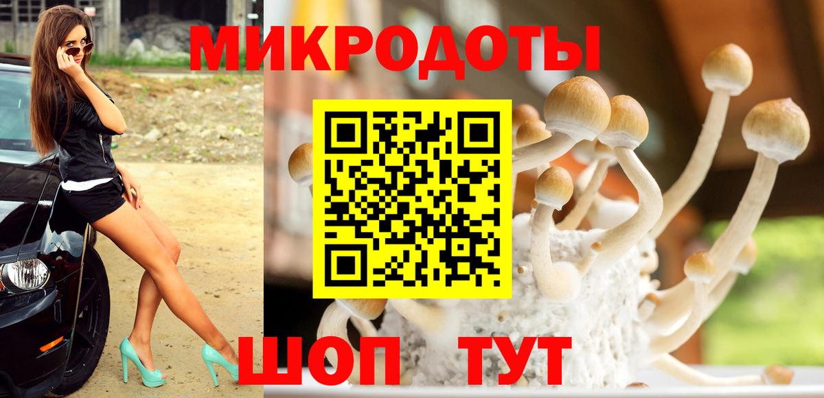 Елизово  Псилоцибиновые грибы Cubensis  Вход с VPN 