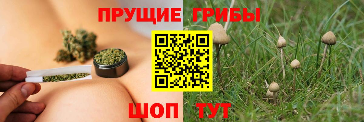 Галлюциногенные грибы ЛСД Елизово
